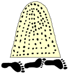 Coat of arms of Tizayuca